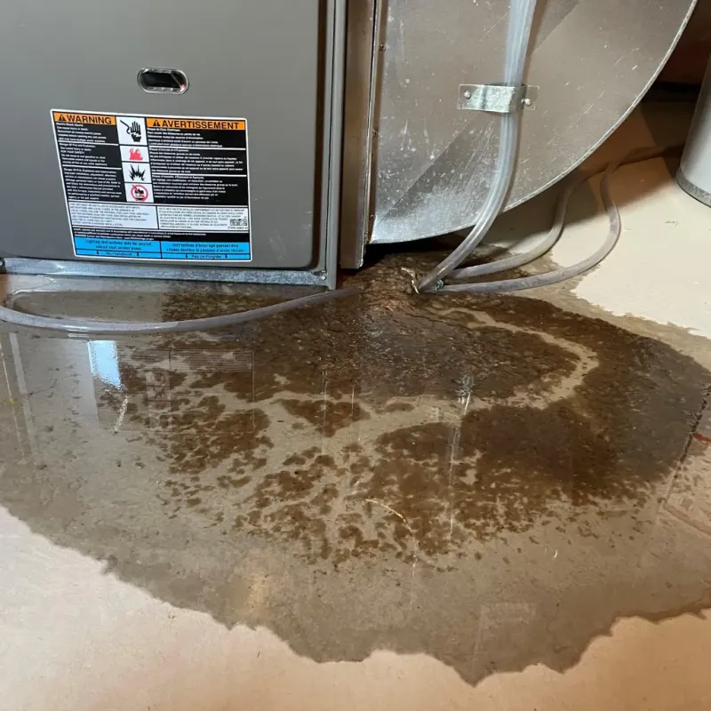 Appliance Leak Cleanup in La Crosse County, WI